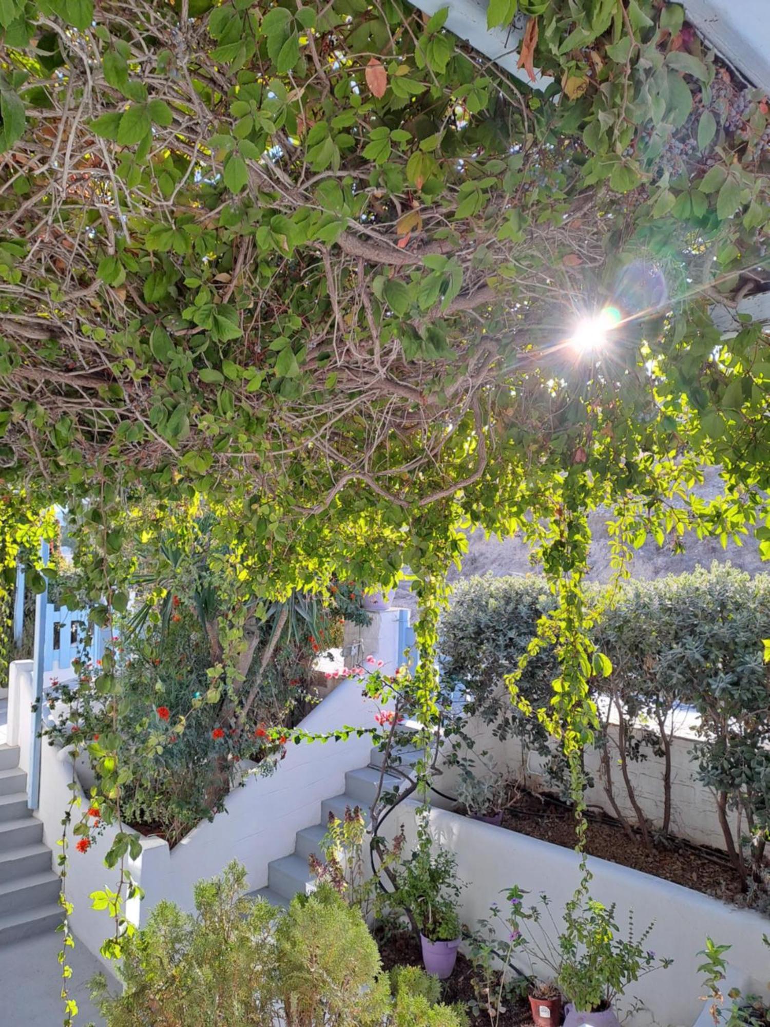 Stratos Apartments & Studios Πάρος Εξωτερικό φωτογραφία