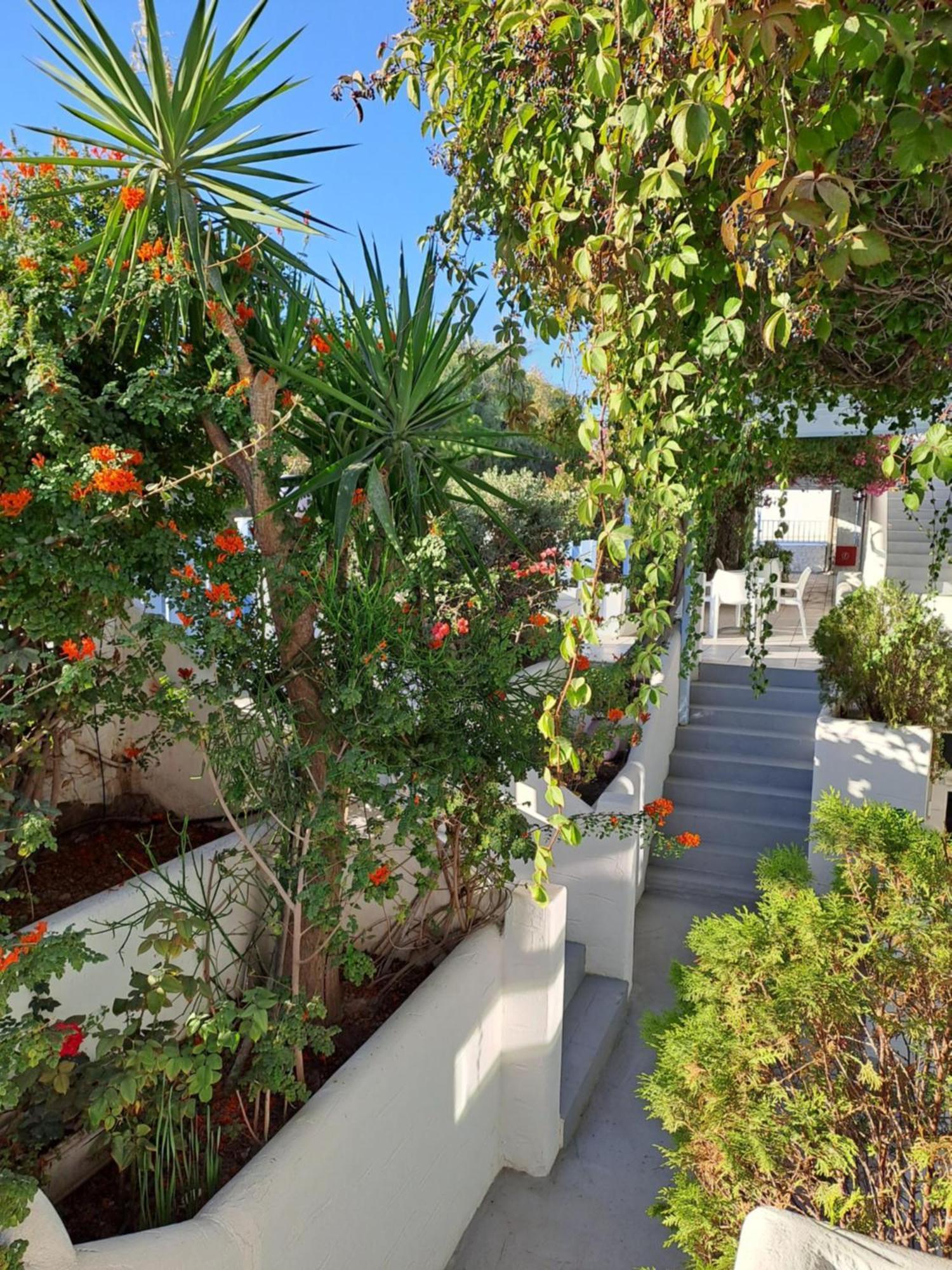 Stratos Apartments & Studios Πάρος Εξωτερικό φωτογραφία