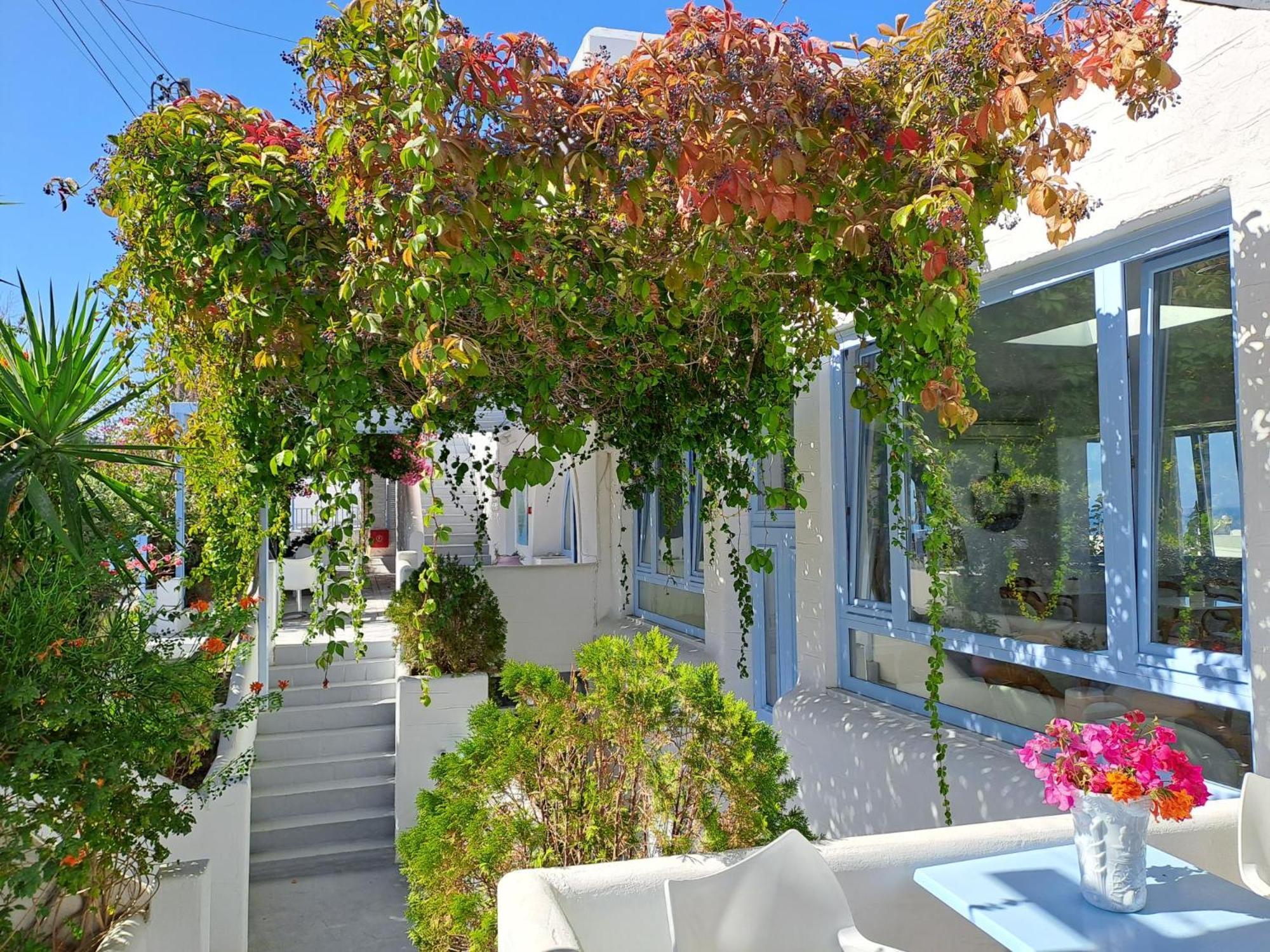 Stratos Apartments & Studios Πάρος Εξωτερικό φωτογραφία